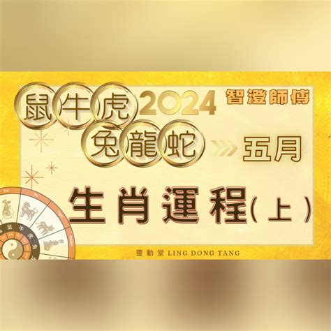 生肖鼠|生肖鼠: 性格，愛情，2024運勢，生肖1996，2008，2020